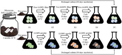 Development of plastic-degrading microbial consortia by induced selection in microcosms